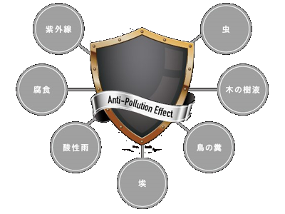 紫外線 腐食 酸性雨 埃 鳥の糞 木の樹液 虫 Anti-Pollution Effect